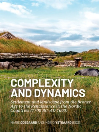 Knjiga Complexity and dynamics Marie Ødegaard