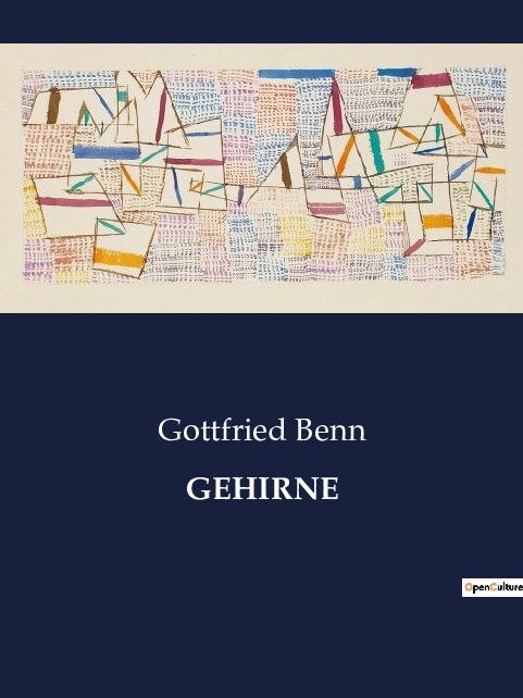 Boek GEHIRNE Benn