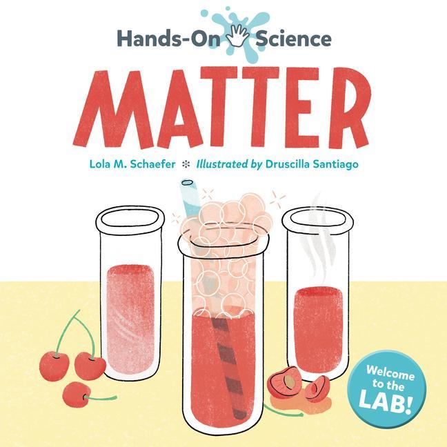Kniha Hands-On Science: Matter Lola M. Schaefer