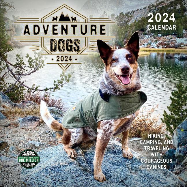 Kalendár/Diár Adventure Dogs 2024 Calendar Amber Lotus
