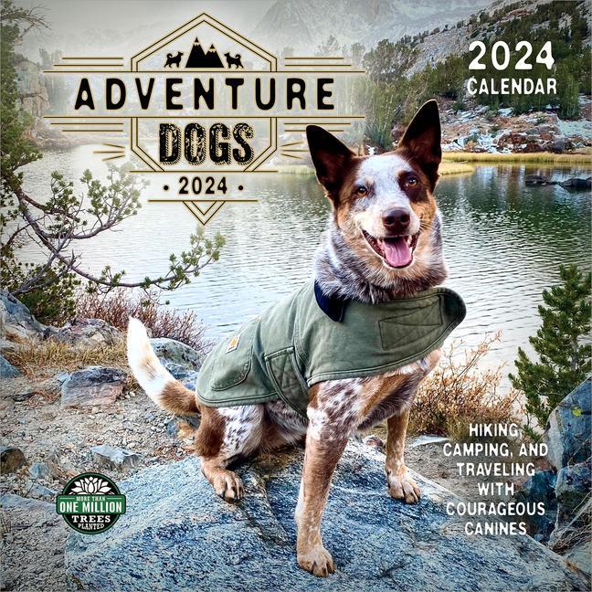 Calendrier/agenda Adventure Dogs 2024 Calendar Amber Lotus