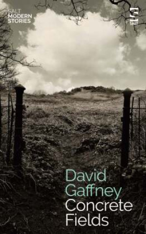 Βιβλίο Concrete Fields David Gaffney