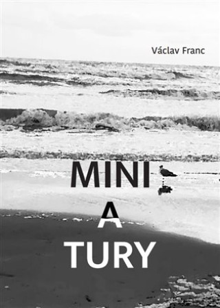 Boek Miniatury Václav Franc