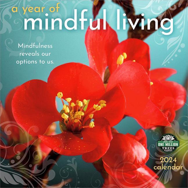 Kalendář/Diář Year of Mindful Living 2024 Calendar Amber Lotus