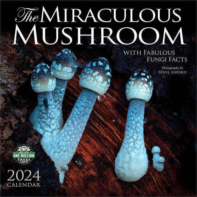Kalendář/Diář Miraculous Mushroom 2024 Calendar 
