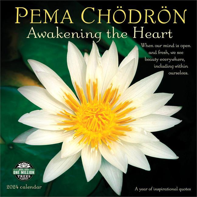 Calendar/Diary Pema Chodron 2024 Calendar Pema (Pema Chodron) Chodron