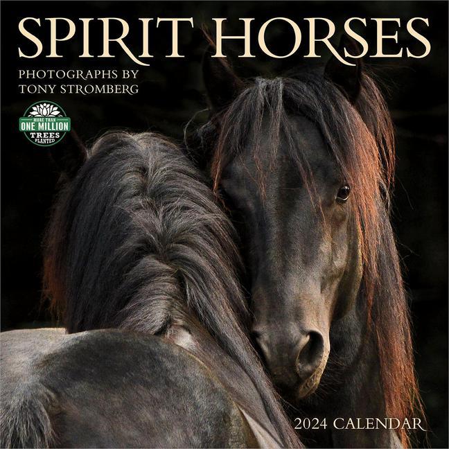 Kalendarz/Pamiętnik Spirit Horses 2024 Calendar 