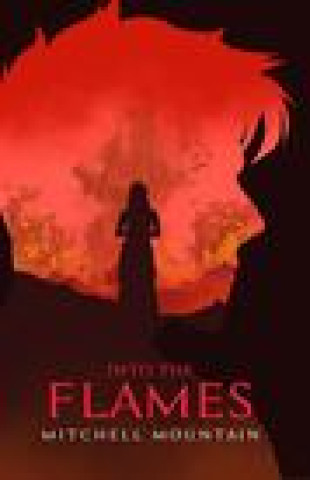 Buch Into the Flames Ana Joldes