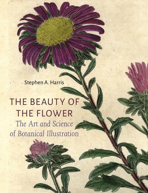 Kniha The Beauty of the Flower: The Art and Science of Botanical Illustration 