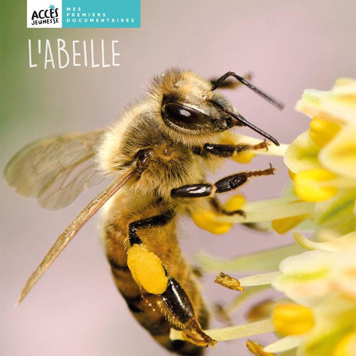 Libro L'ABEILLE SCHNEIDER