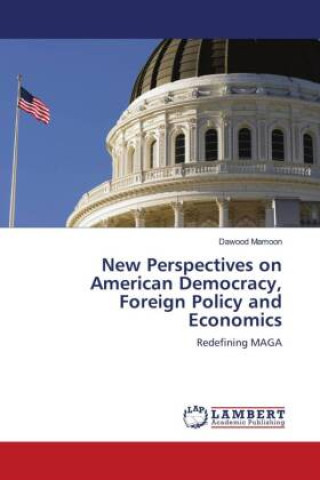 Knjiga New Perspectives on American Democracy, Foreign Policy and Economics 