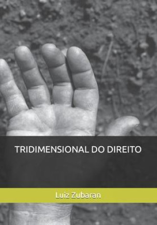 Βιβλίο Tridimensional Do Direito Luiz Carlos Zubaran