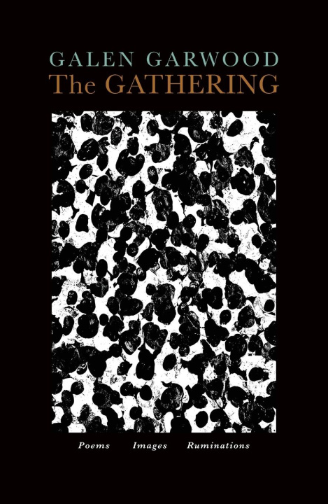 Boek The GATHERING Galen Garwood