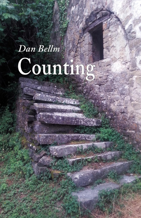 Knjiga Counting Dan Bellm