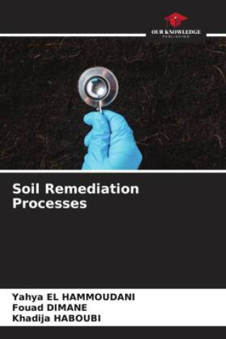 Kniha Soil Remediation Processes Fouad Dimane