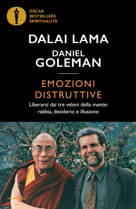 Kniha Emozioni distruttive. Liberarsi dai tre veleni della mente: rabbia, desiderio e illusione Gyatso Tenzin (Dalai Lama)