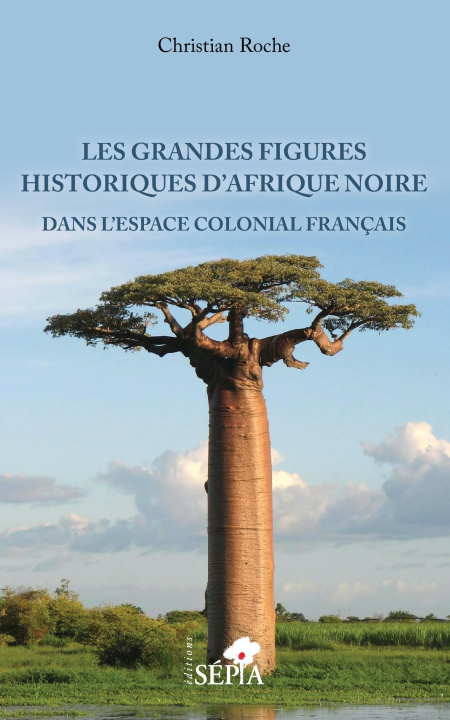 Kniha Les grandes figures historiques d'Afrique noire Roche