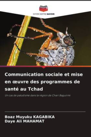 Knjiga Communication sociale et mise en ?uvre des programmes de santé au Tchad Daye Ali Mahamat