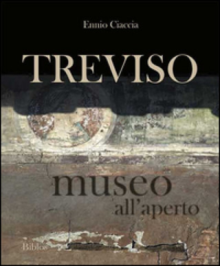 Carte Treviso museo all'aperto Ennio Ciaccia
