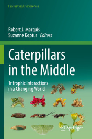 Carte Caterpillars in the Middle Robert J. Marquis