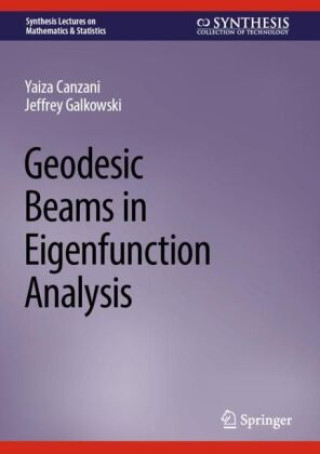 Knjiga Geodesic Beams in Eigenfunction Analysis Yaiza Canzani
