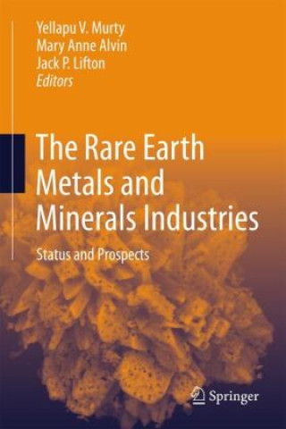 Kniha The Rare Earth Metals and Minerals Industry Yellapu V Murty