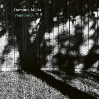 Audio Vagabond Dominic Miller