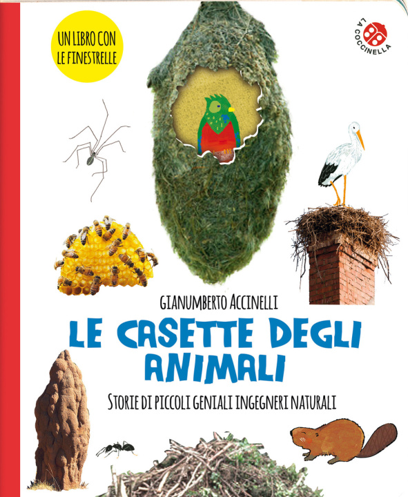 Kniha casette degli animali Gianumberto Accinelli