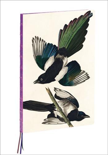 Kalendár/Diár Magpies, James Audubon A4 Notebook 