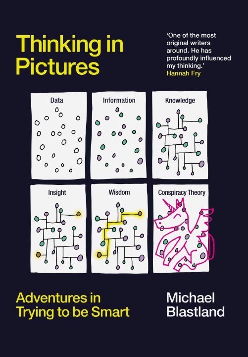 Book Thinking in Pictures Michael Blastland