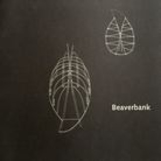 Knjiga Beaverbank – Between Material and Process Frank Chiu