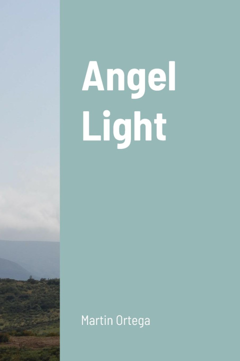 Knjiga Angel Light Martin Ortega