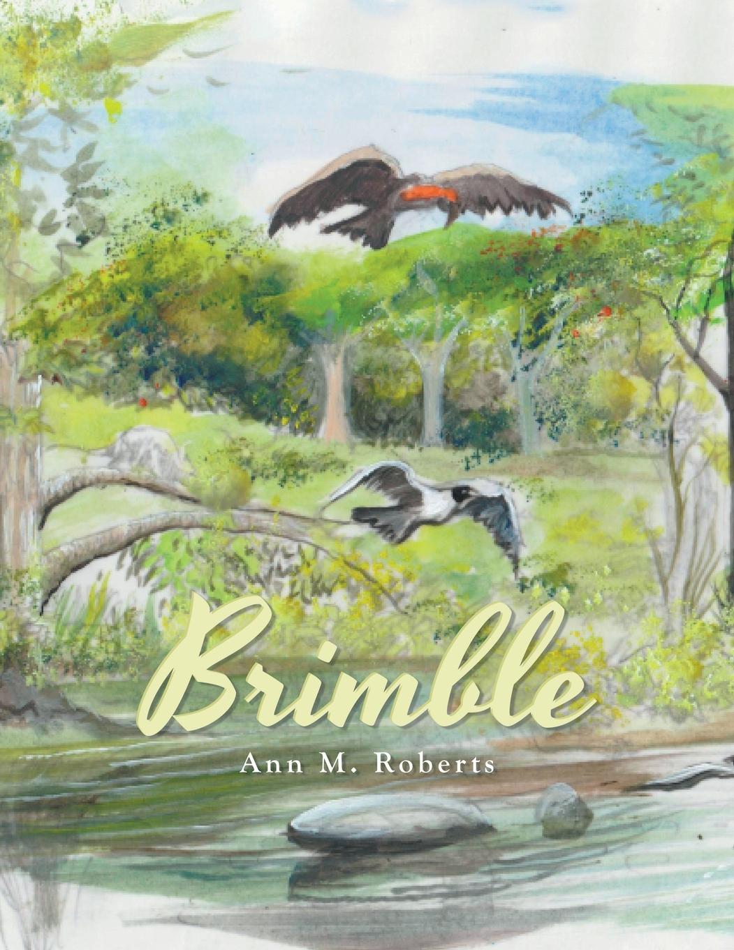 Knjiga Brimble Ann M. Roberts