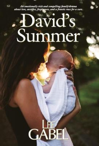 Boek David's Summer Lee Gabel