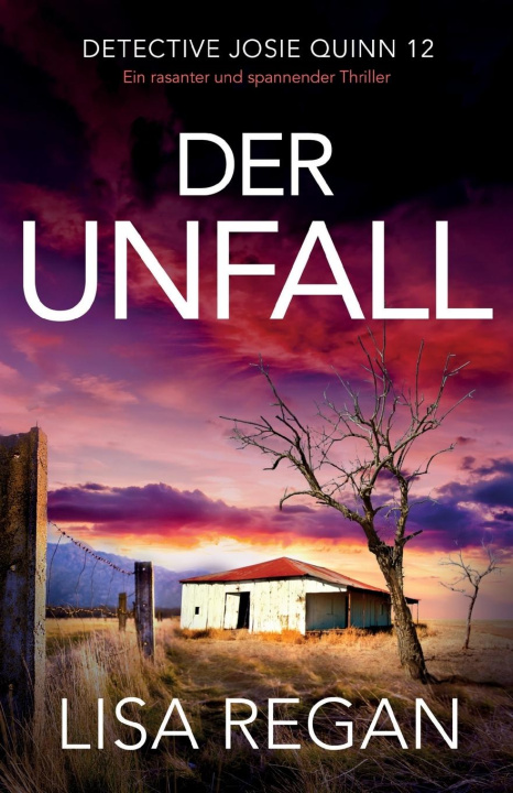 Knjiga Der Unfall Lisa Regan