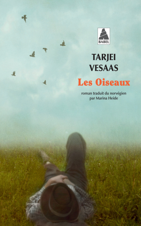 Boek Les Oiseaux Vesaas