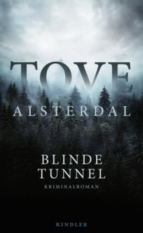 Kniha Blinde Tunnel Hanna Granz
