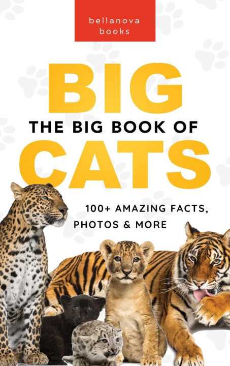 Kniha The Big Book of Big Cats 