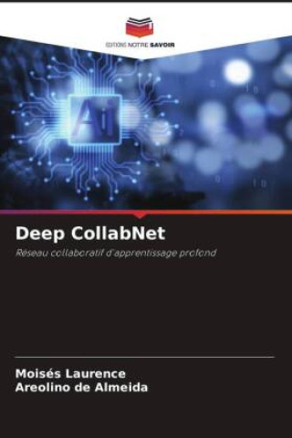 Knjiga Deep CollabNet Areolino de Almeida