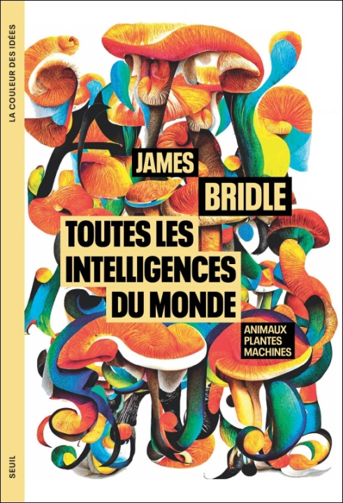 Könyv Toutes les intelligences du monde. Animaux, plantes, machines James Bridle