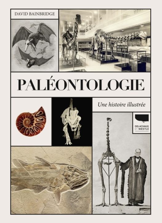 Knjiga Paléontologie. Une histoire illustrée David Bainbridge