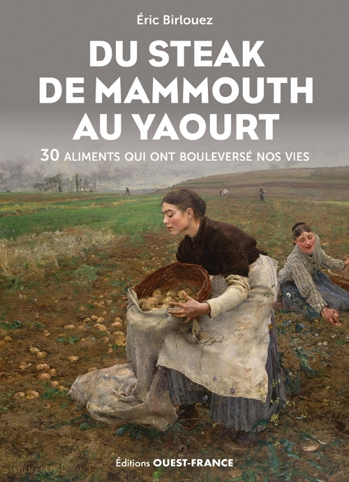 Kniha Du steak de mammouth au yaourt : 30 nourritures qui ont boulversé nos Eric Birlouez