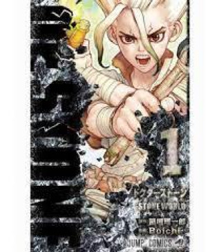 Książka DR STONE 1 (MANGA VO JAPONAIS) BOICHI