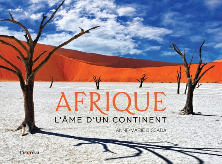 Książka Afrique. L'âme d'un continent Anne-Marie Bissada