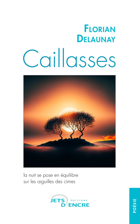Knjiga Caillasses Florian Delaunay