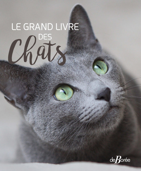 Книга Le Grand livre des Chats 