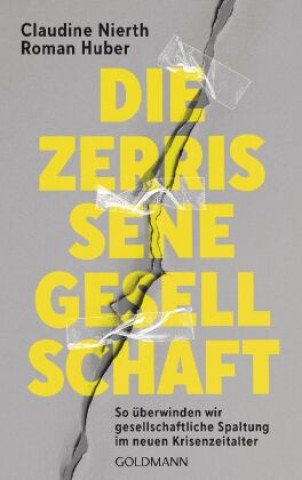 Kniha Die zerrissene Gesellschaft Roman Huber