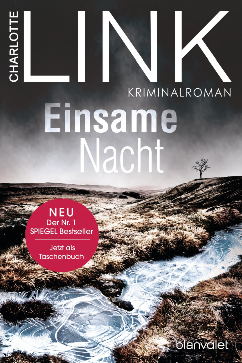 Kniha Einsame Nacht 