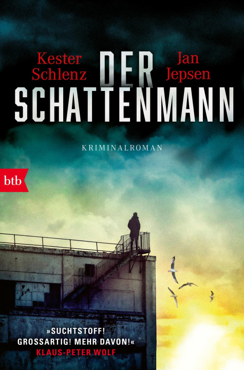 Kniha Der Schattenmann Jan Jepsen