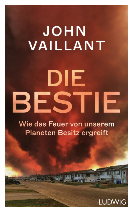 Könyv Die Bestie Iris Hansen